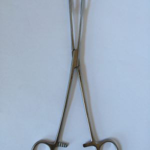 FORCEPS RAMPLEYS SPONGE - 24CM B/J (11-095M/F)